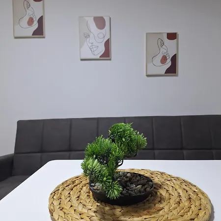 아파트 Petar's 5 스코페